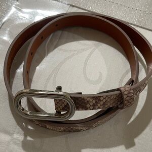 Halogen Snake Print Belt with Silver Buckle